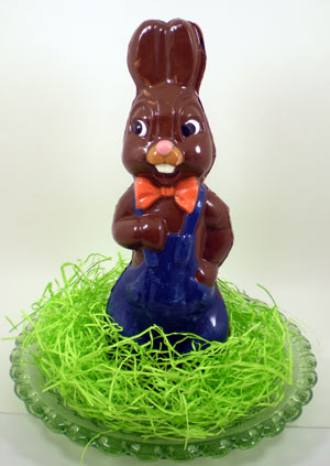 Chocolate Bunny 